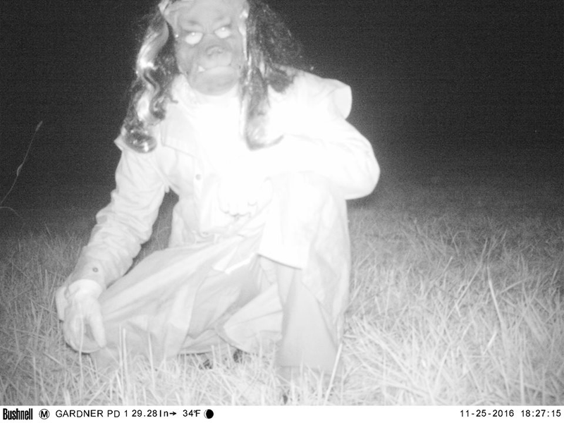 Illustration for article titled Police set up camera to record wildlife, capture shithead teens instead